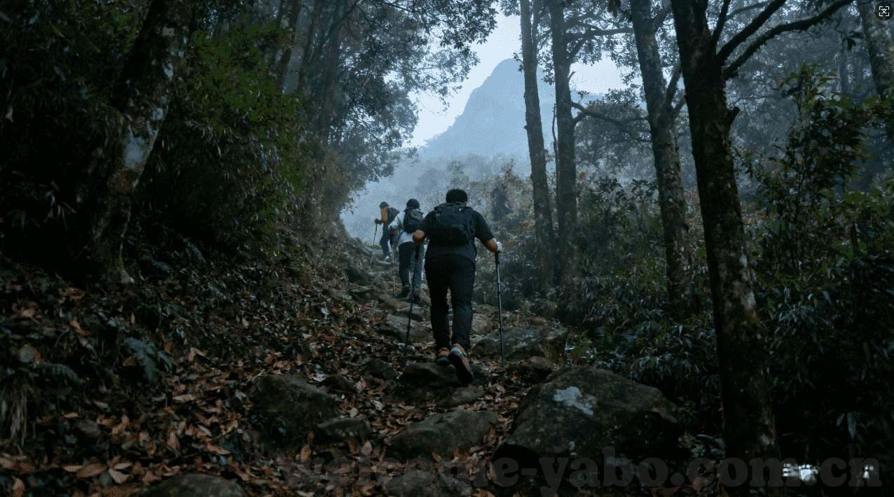 壹号娱乐平台下载-壹号娱乐平台下载，打造娱乐新体验，畅享多元精彩内容-壹号娱乐平台下载