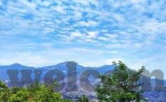 足球比分网 捷报-足球比分网捷报背后，数据狂欢与球迷的激情盛宴